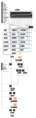 Thumbnail for version as of 02:57, 24 February 2022